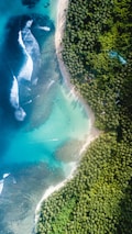 body of water near trees at daytime