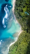 body of water near trees at daytime