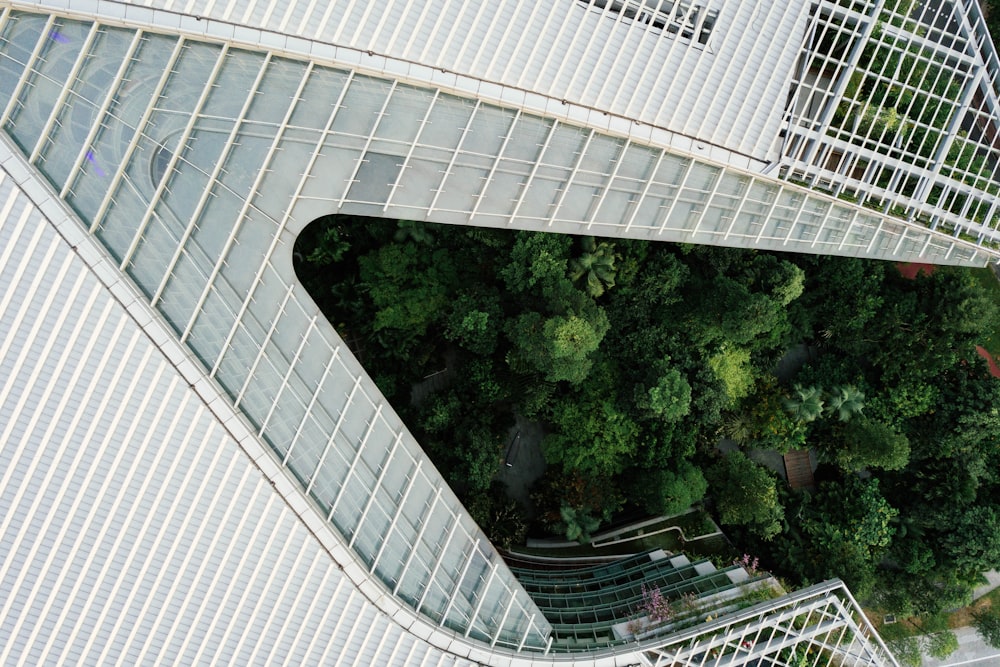 aerial photography of building near treesz