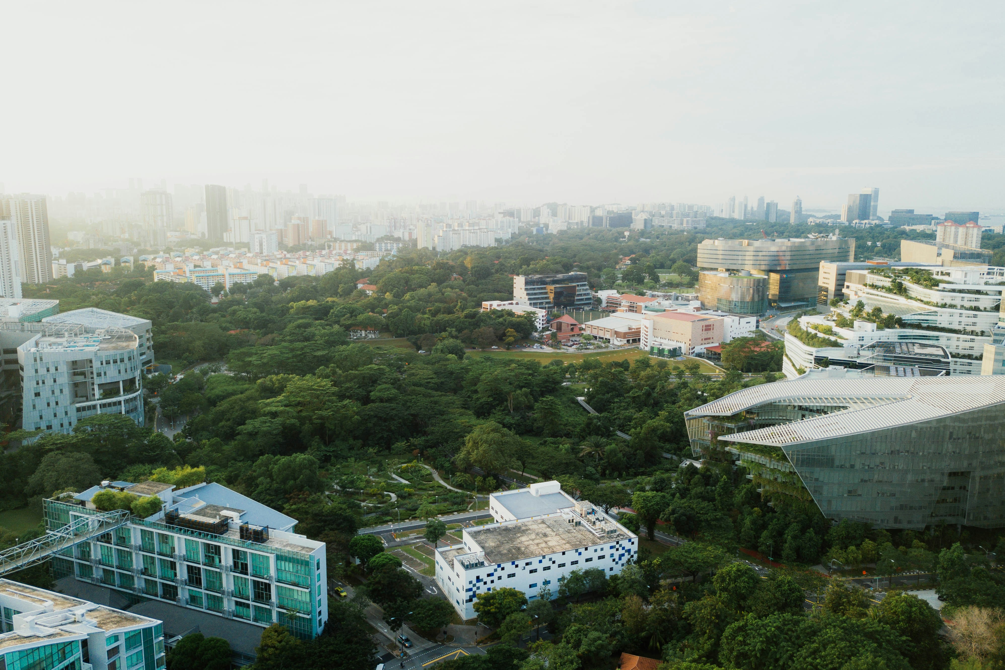aerial photography of city