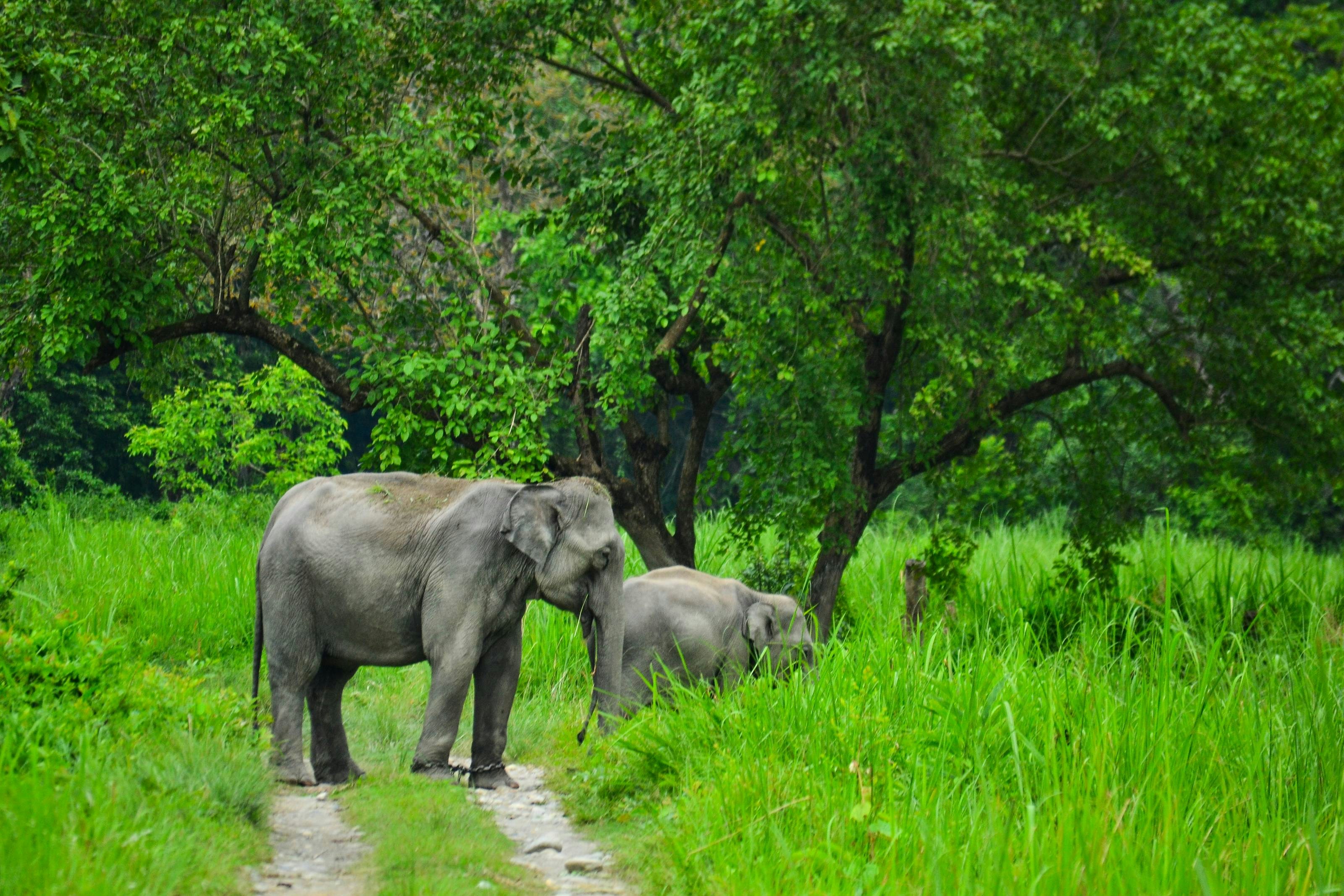 Photo by marcbombenon