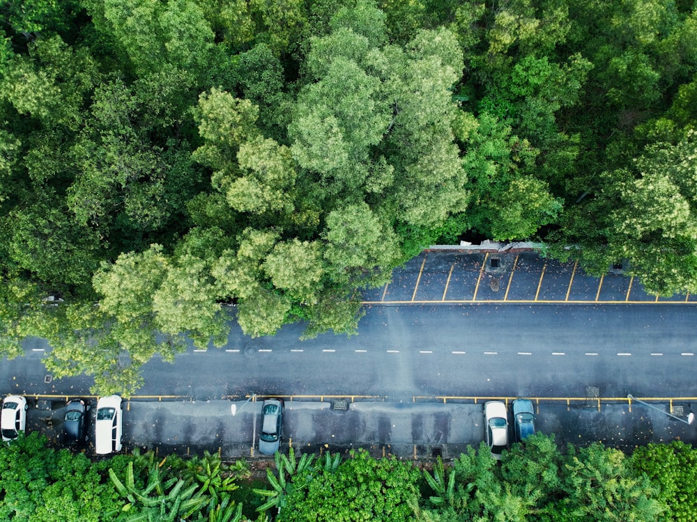 aerial photography of road near trees