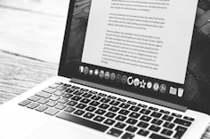 silver MacBook showing application