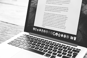 silver MacBook showing application