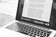 silver MacBook showing application