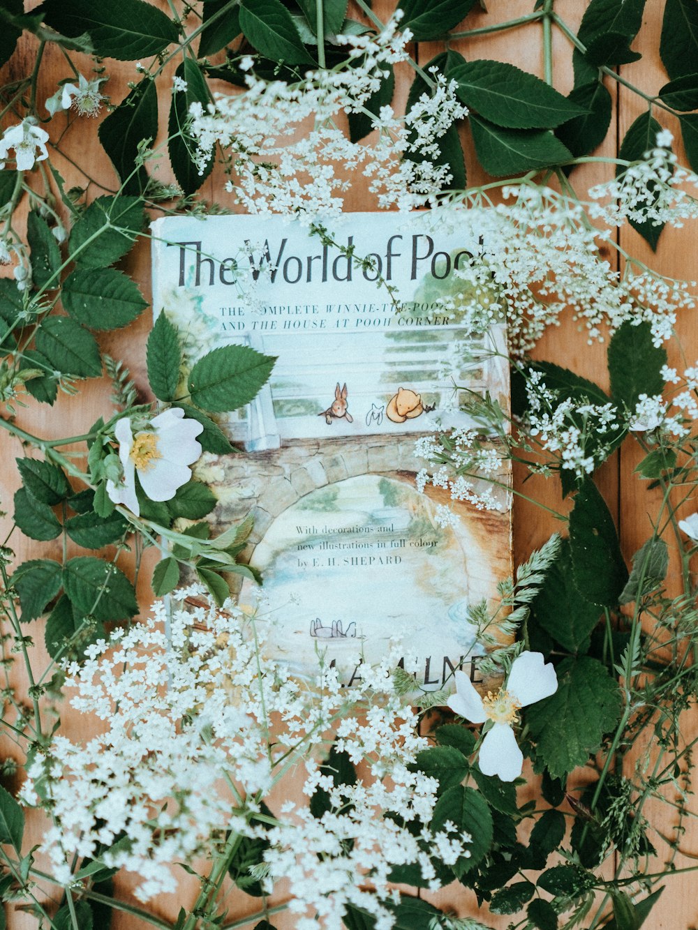 white petaled flower lot on book