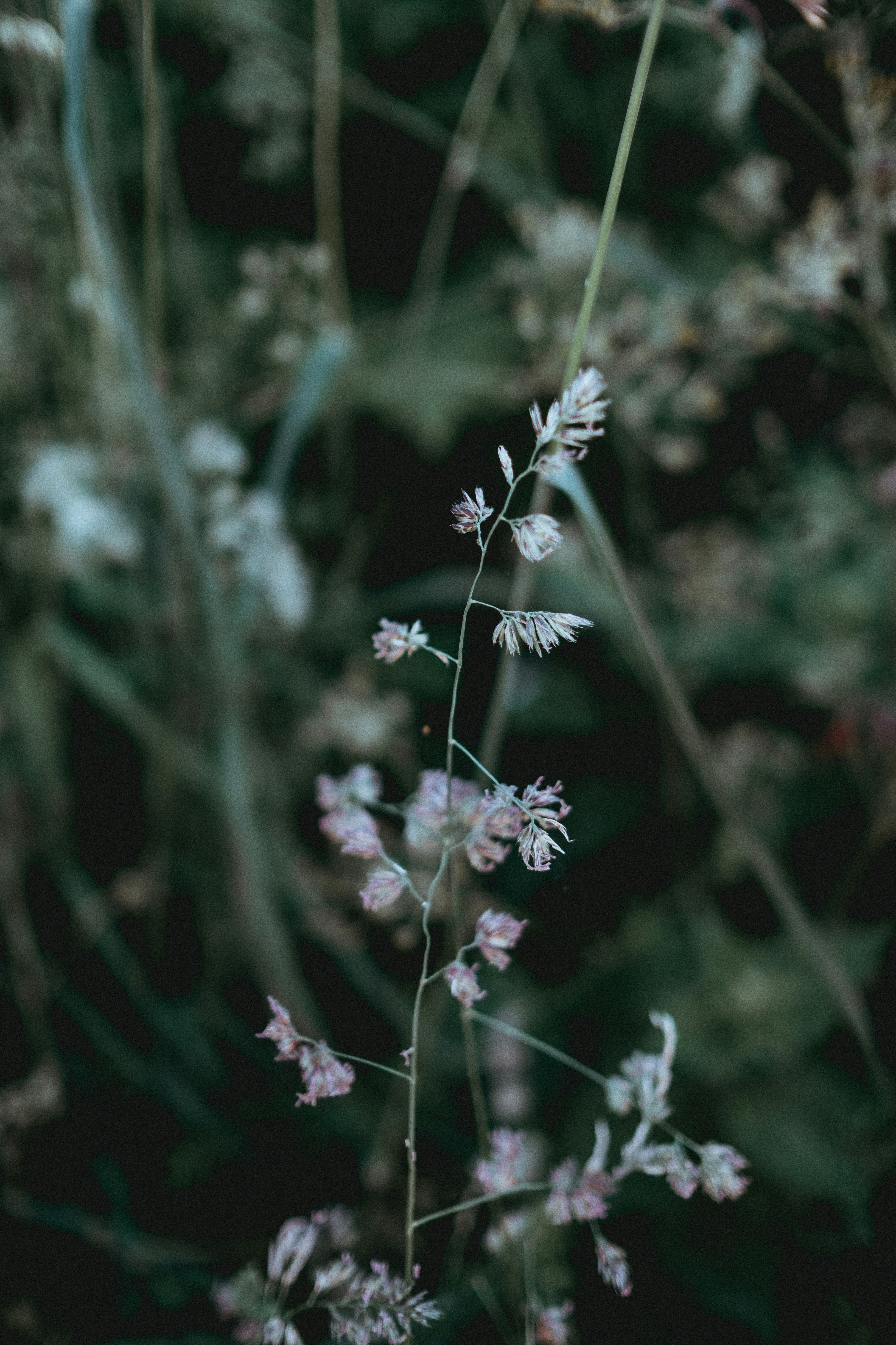 Photo by anniespratt