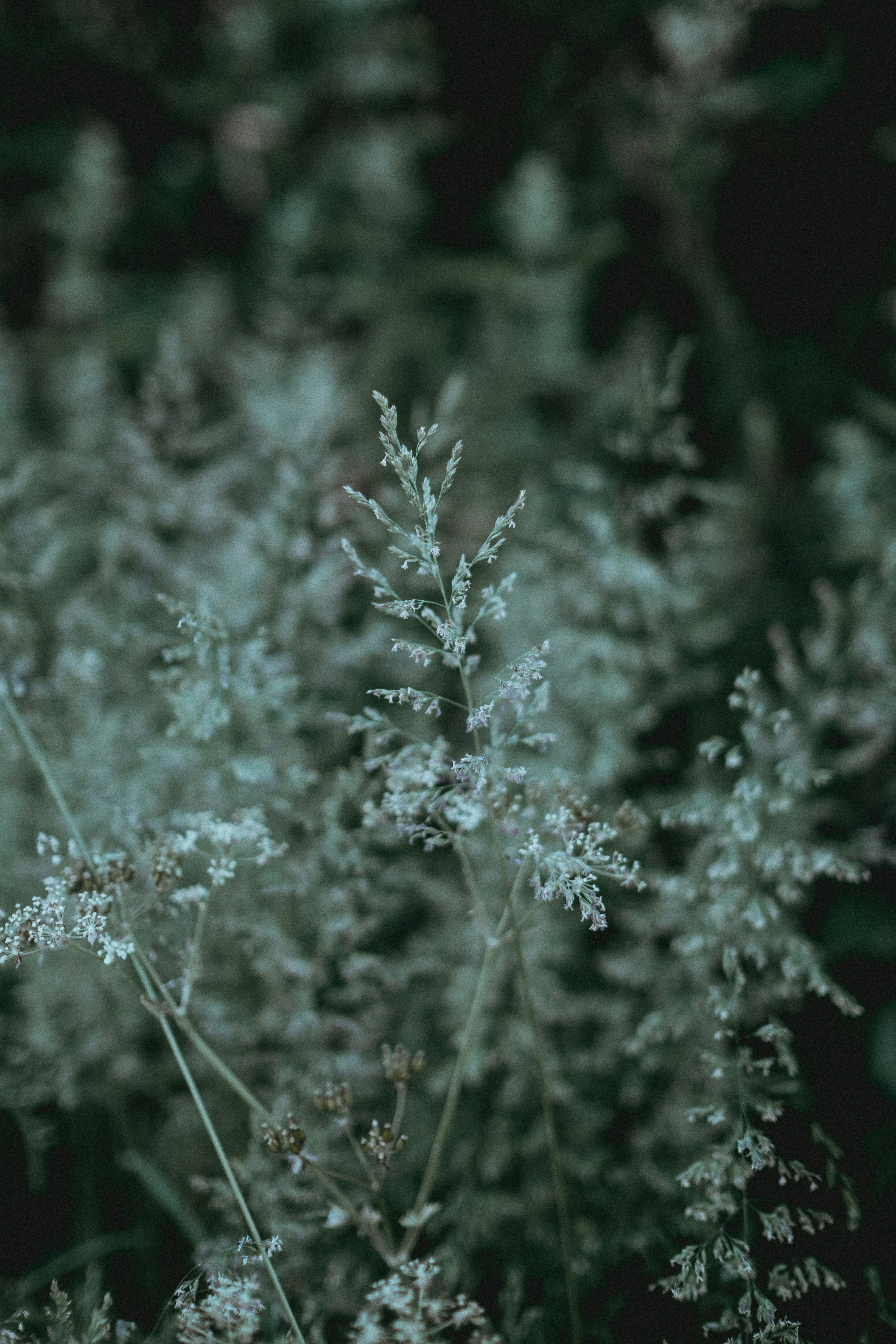 Photo by anniespratt