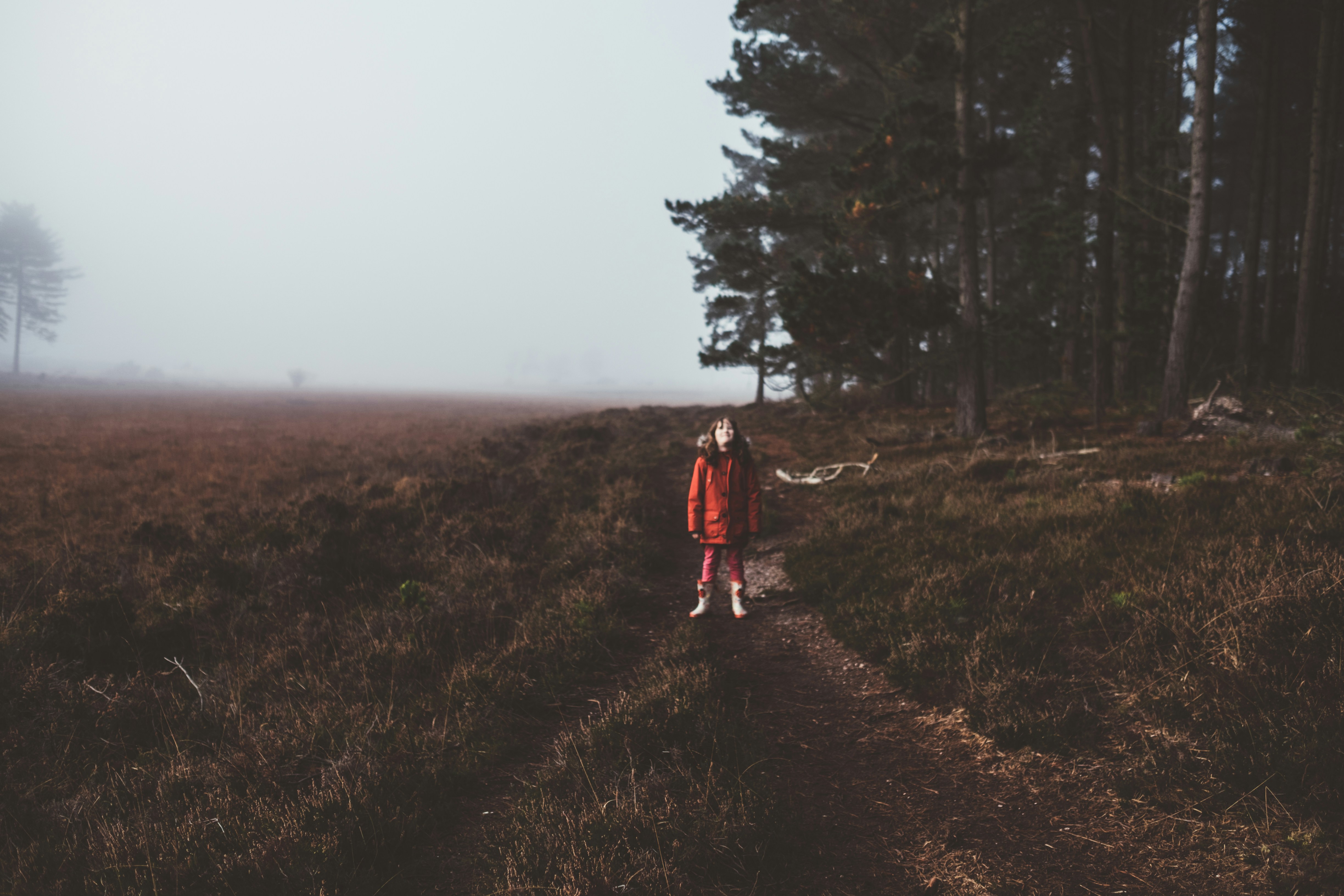 Photo by anniespratt