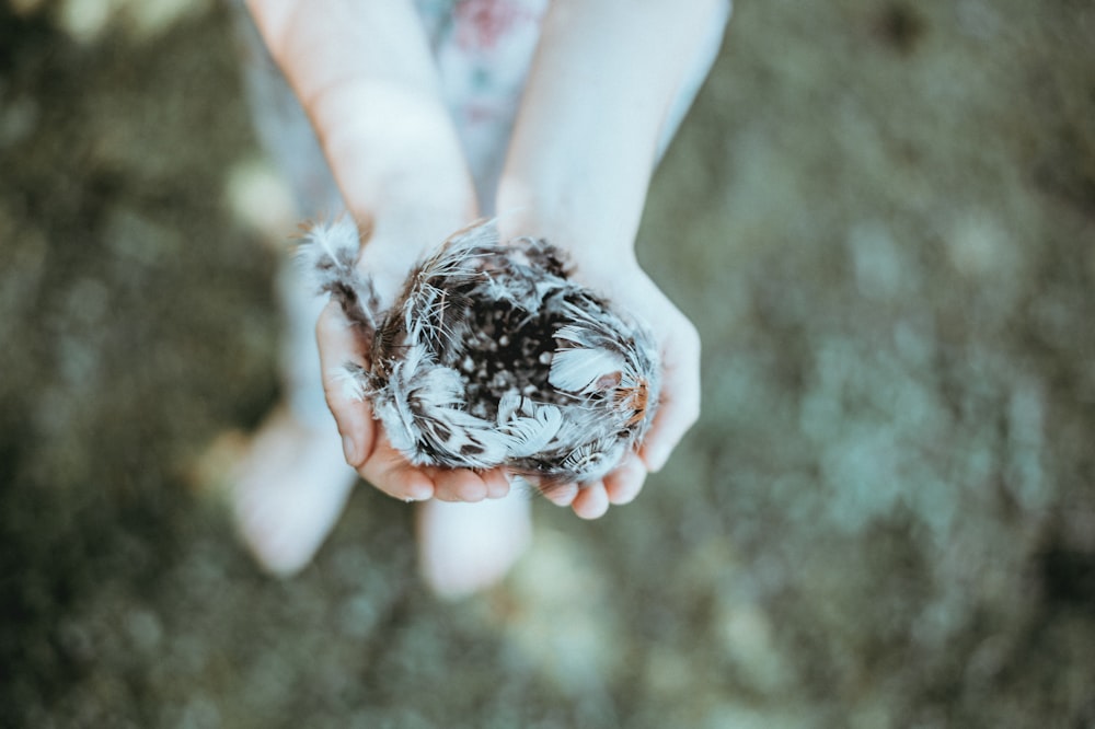 person holding feather ball at daytime