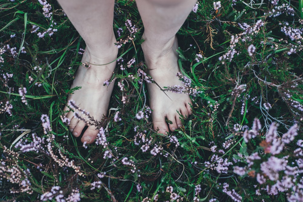 person standing green grass field