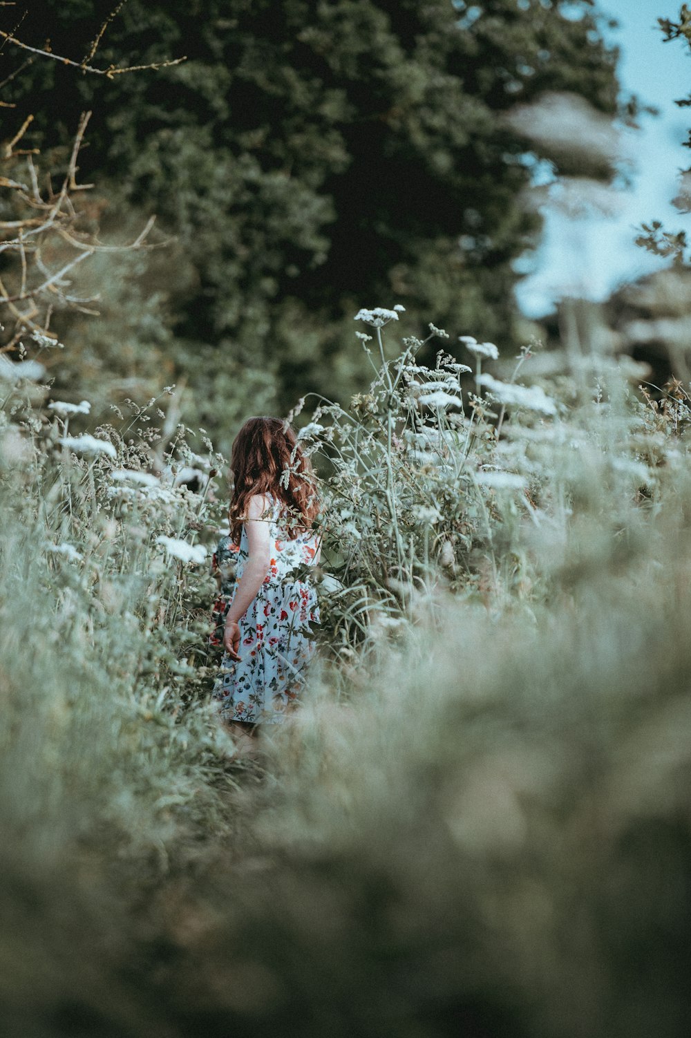 woman in blue and pink floral dress standing surrounded by white petaled flowers