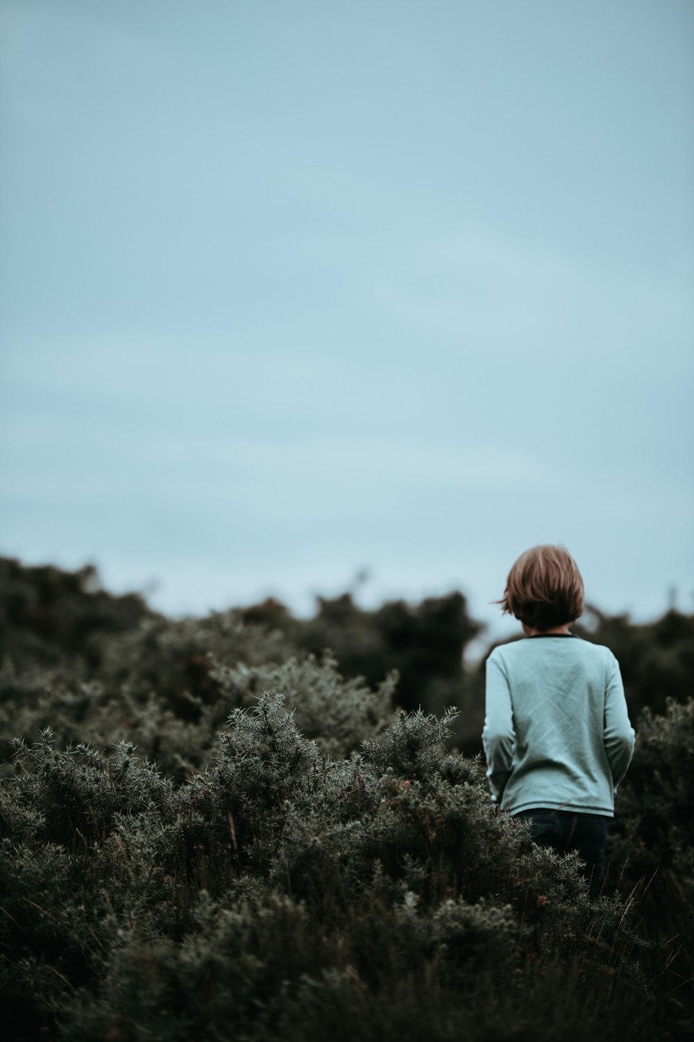 person standing beside leaves