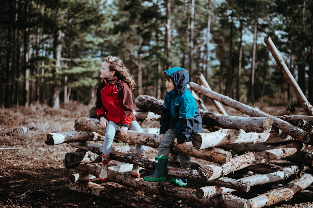 Niño y niña sentados en troncos de árbolSD