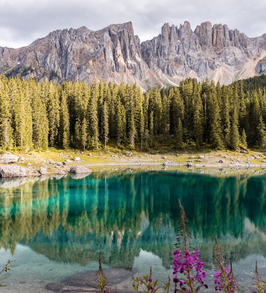 mirror photography of mountain and trees near body of water