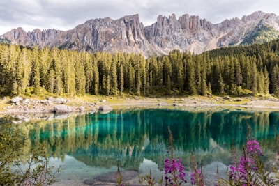 trees and mountain behind them reflected in the lake in the foreground