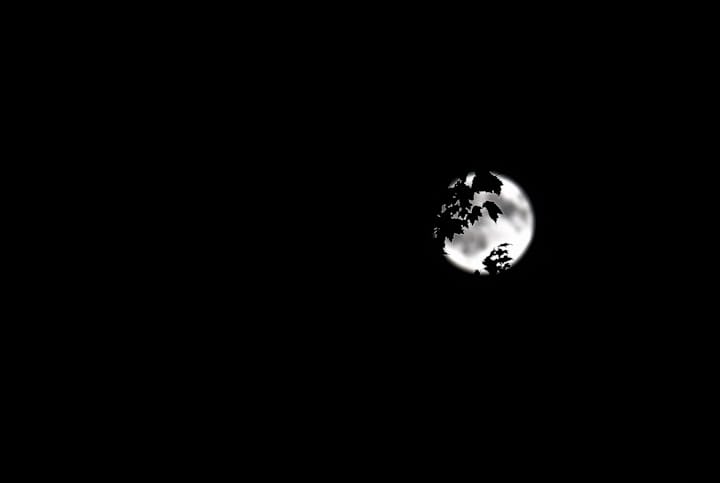 Black moon s. Луна Минимализм. Черная Луна Минимализм. Луна на черном фоне Минимализм. Луна на черном небе.