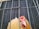 A chicken is inside a wire cage, looking through the metal bars. The chicken has a light brown or beige plumage with a red comb and wattles. The background is blurred, focusing on the chicken's face, giving a sense of captivity within the cage.