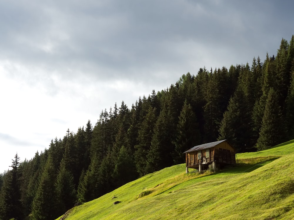 brown house surrounded by pine trees