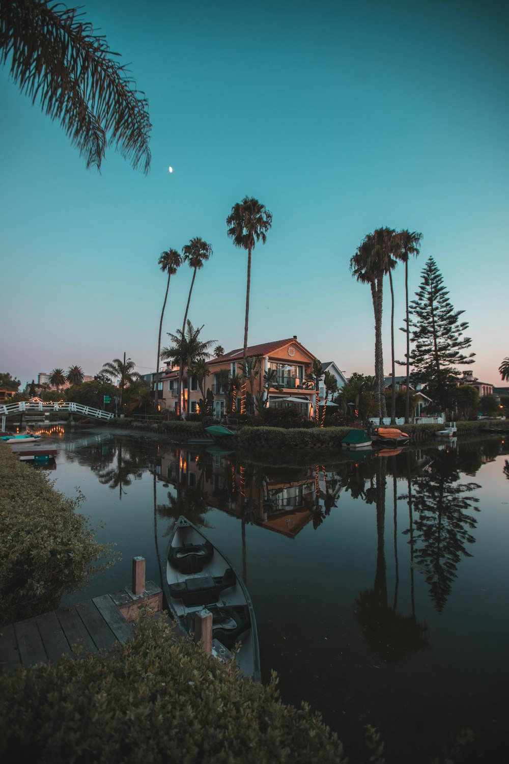 in distant brown 2-storey house surrounded by palm trees near body of water