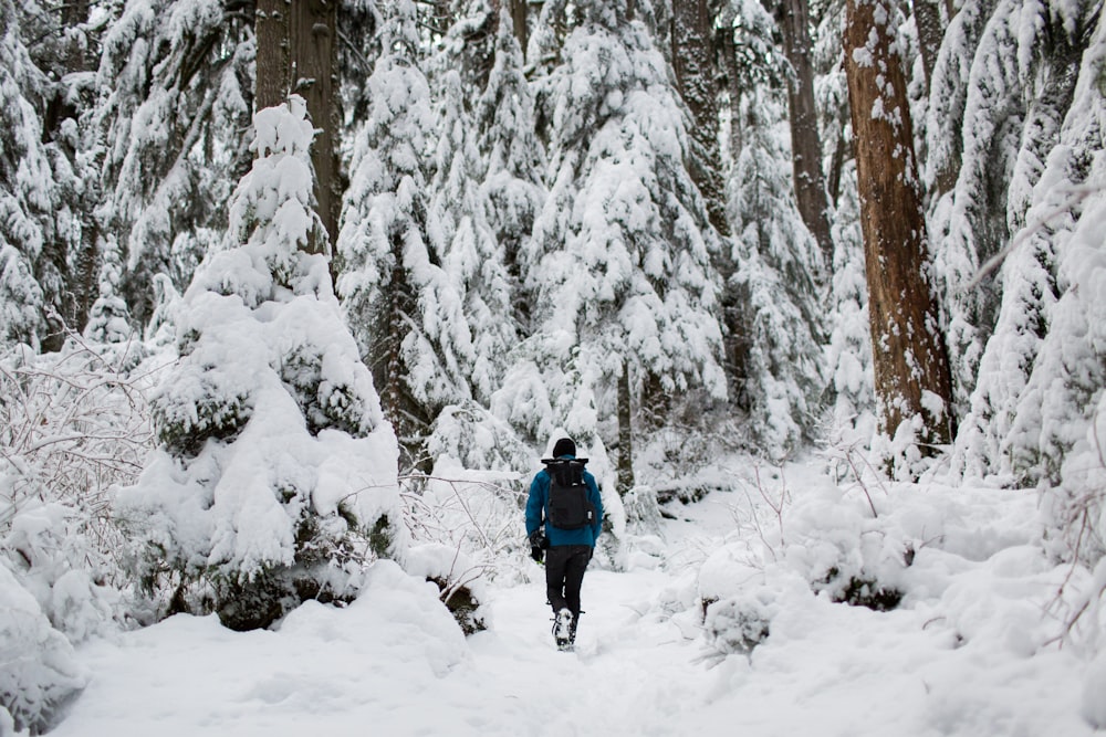 Persona que camina sobre la nieve rodeada de árboles