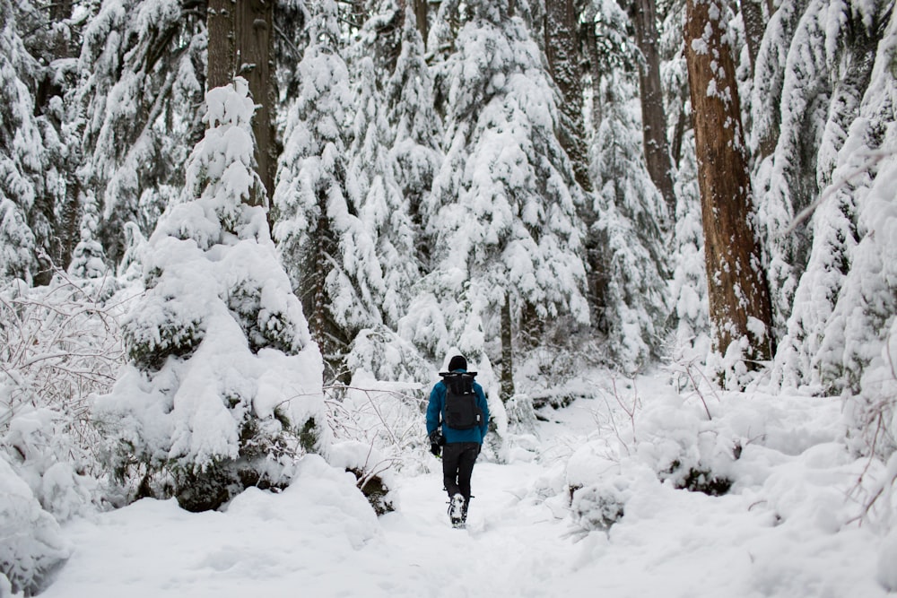 person walking on snow surrounded by trees