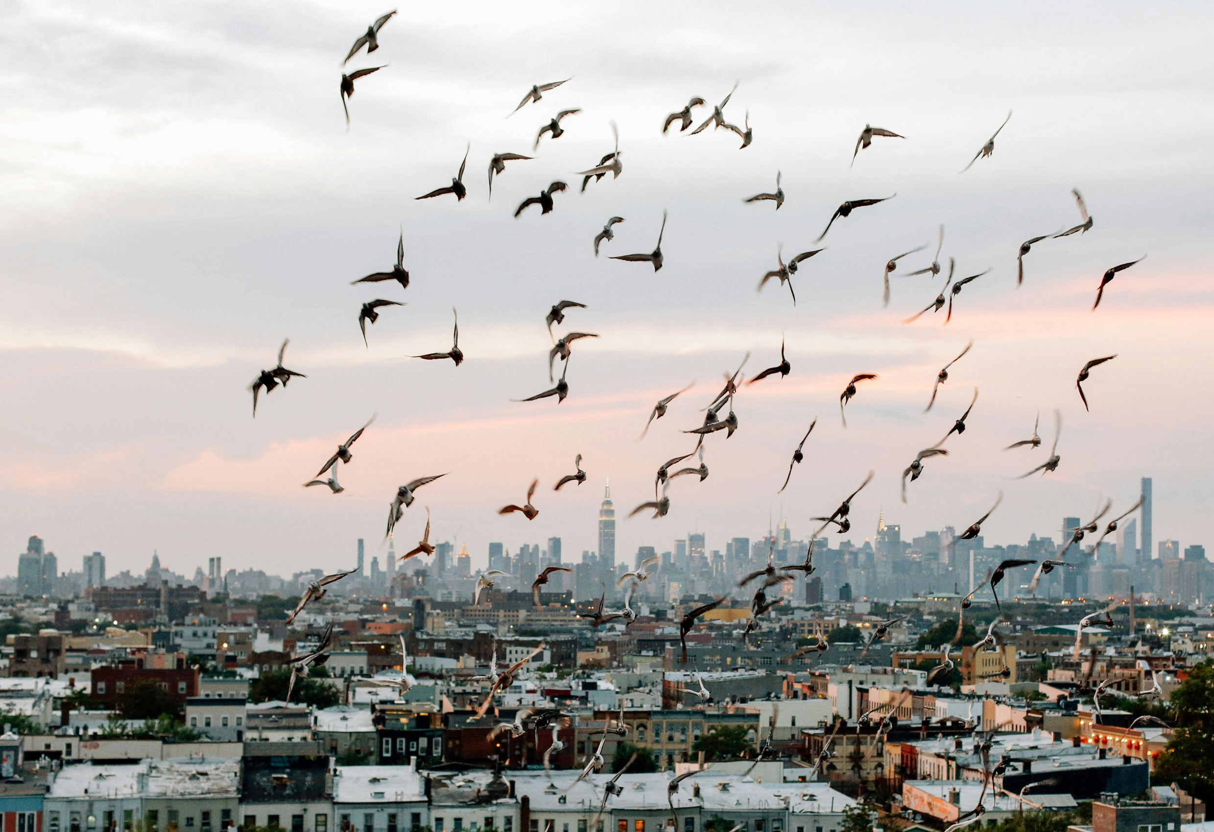 Come suddividere i pasti settimanali