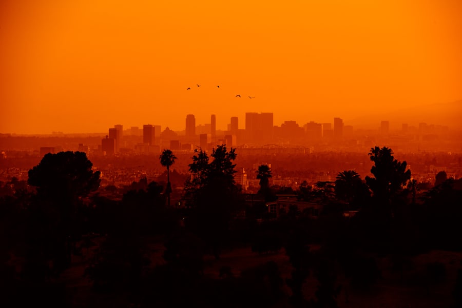 A skyline photo of Los Angeles, California (Josh Rose via Unsplash)