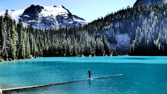 man walking on boardwalk in Joffre Lakes Provincial Park Canada