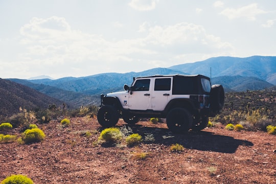 white SUV near grass in Las Vegas United States