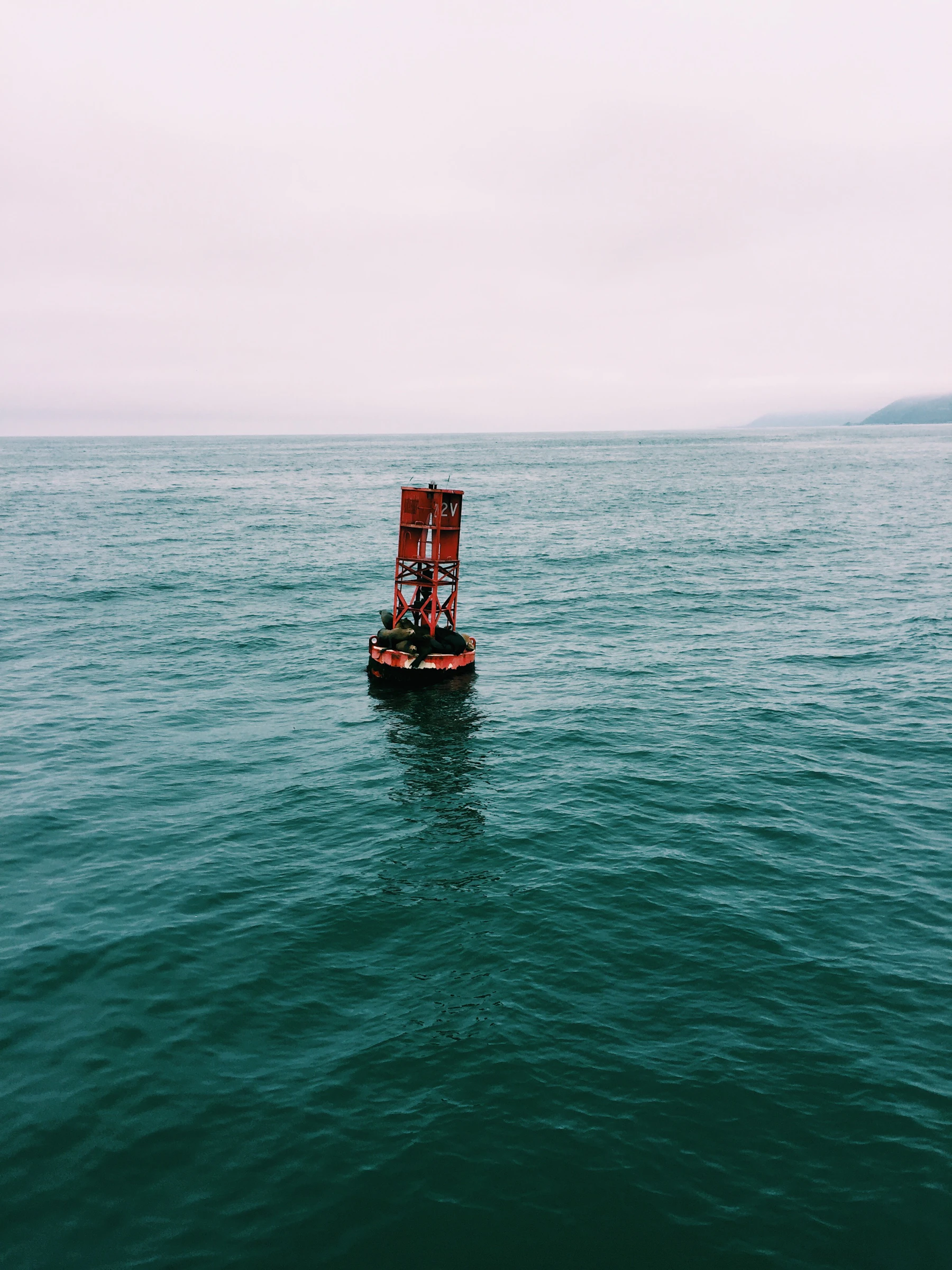 A red buoy floating on open water