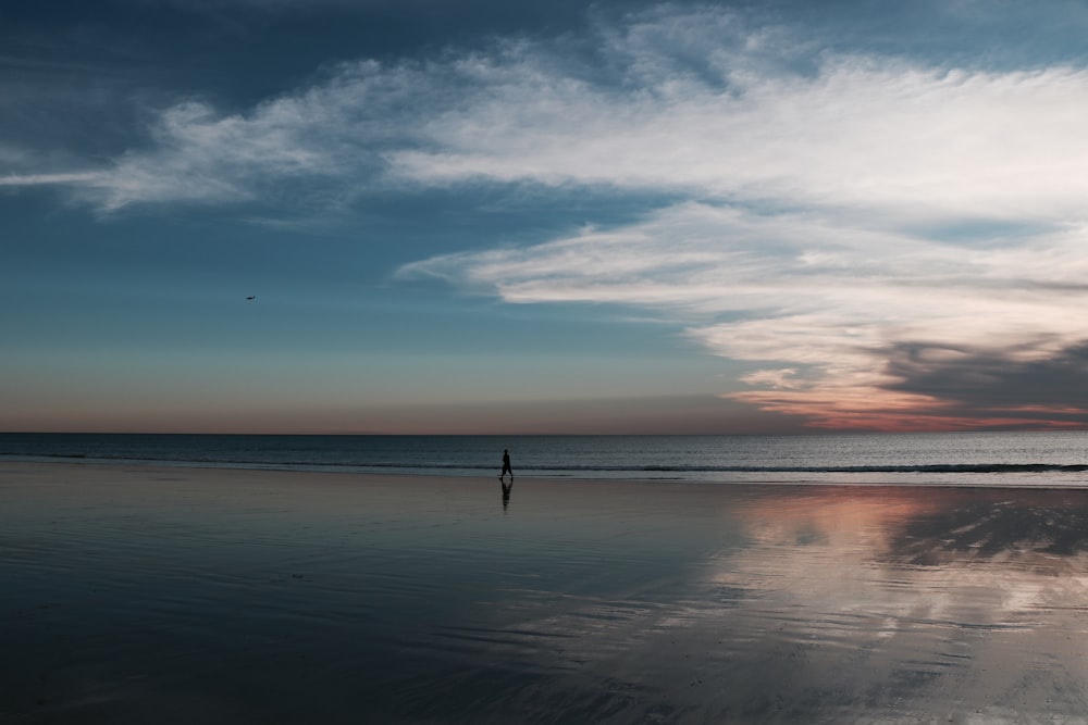 person walking on beach shore under blue sky