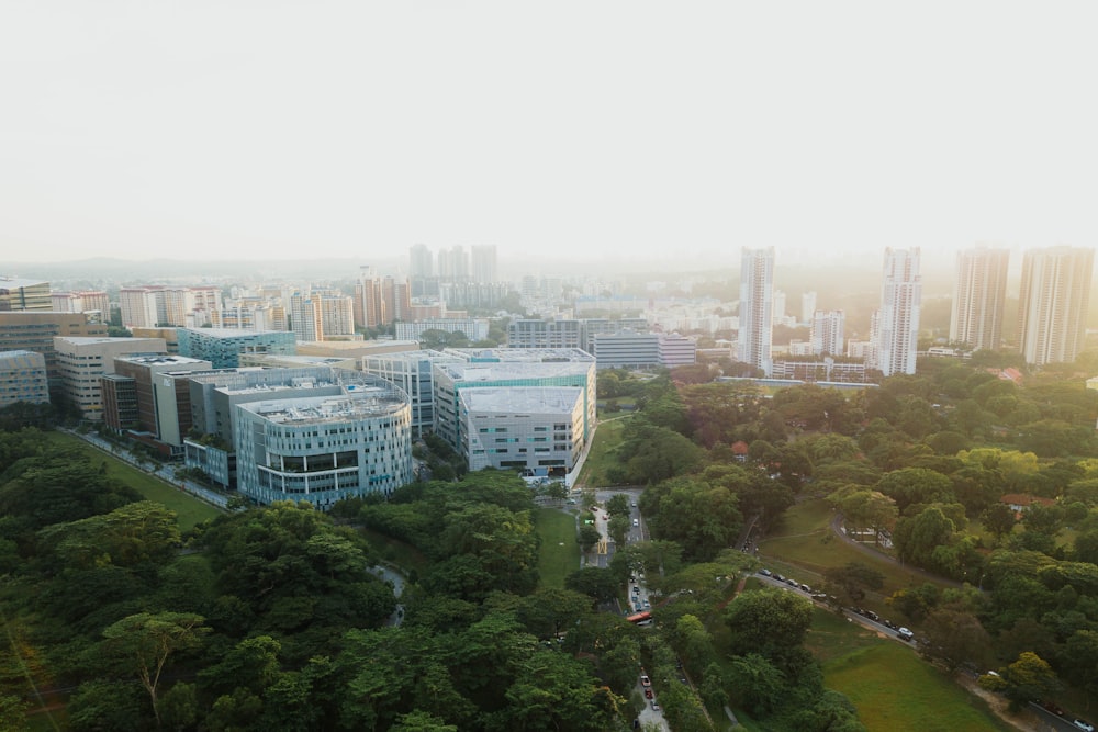 aerial photography of buildings