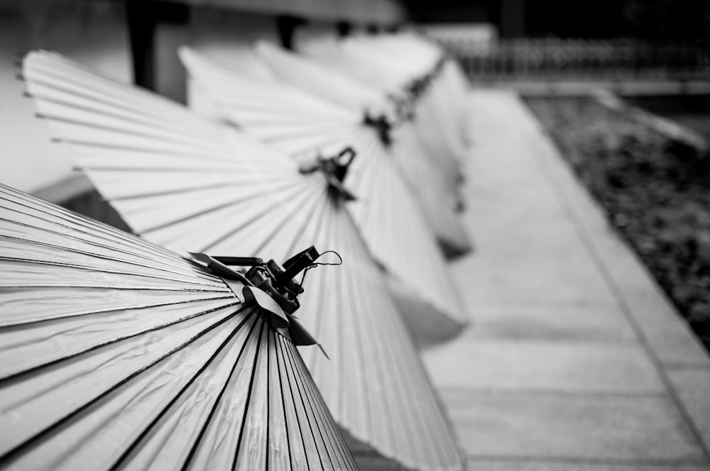 grayscale photography of opened Japanese umbrellas