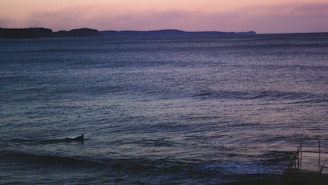 A serene dusk scene with a silhouette of a swimmer walking along the shoreline, the horizon blending into soft shadows.