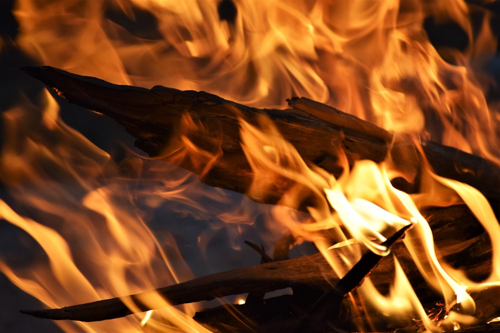 Fire Wallpaper 58 best free fire flame orange and Fire Wallpaper 58 best free fire flame orange and