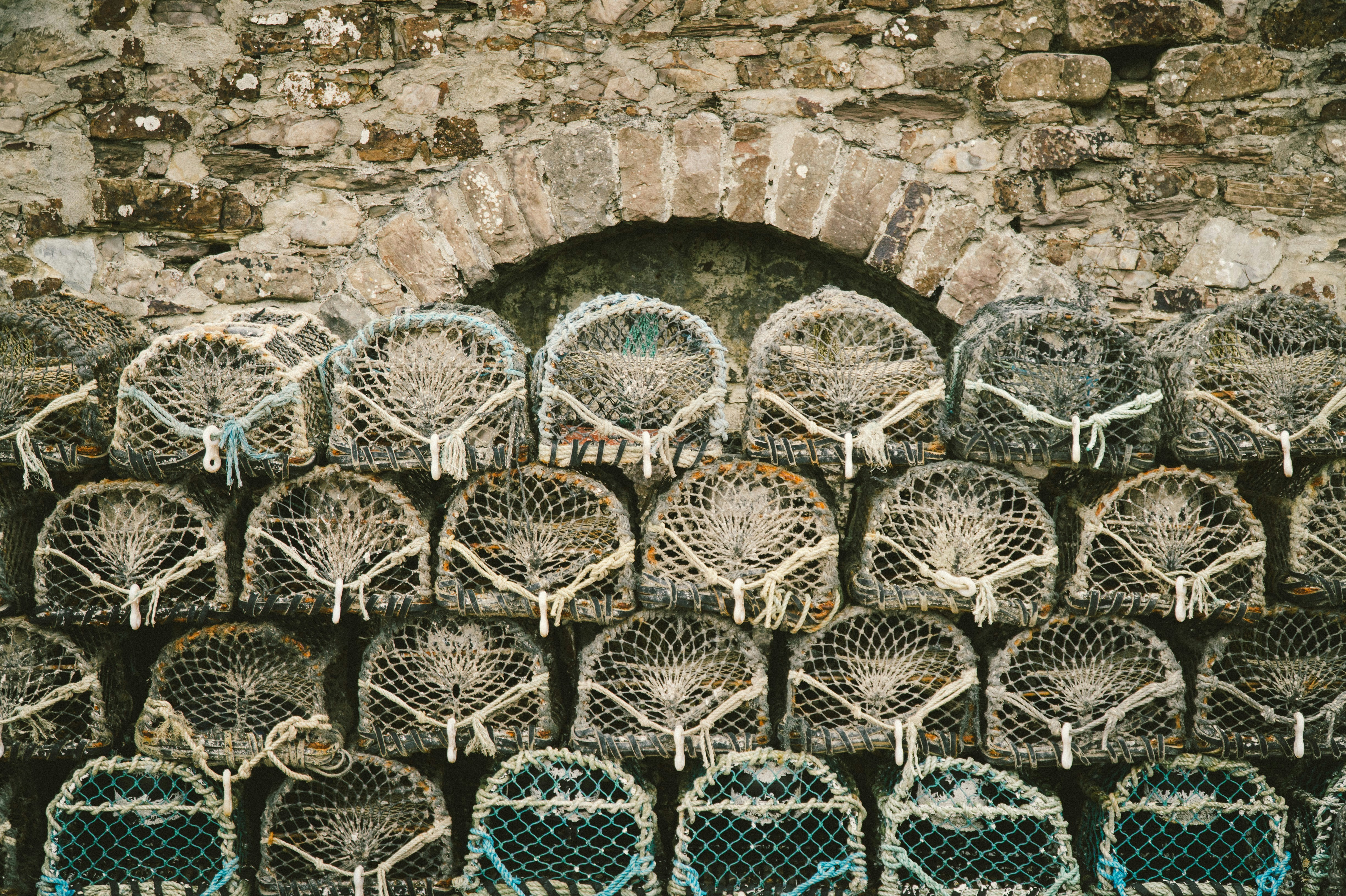 Strategies to Increase Net Income