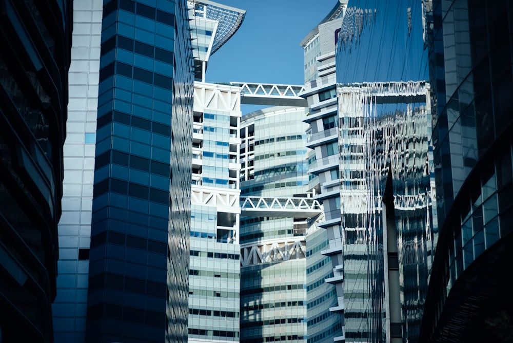 fotografia architettonica di edifici in vetro