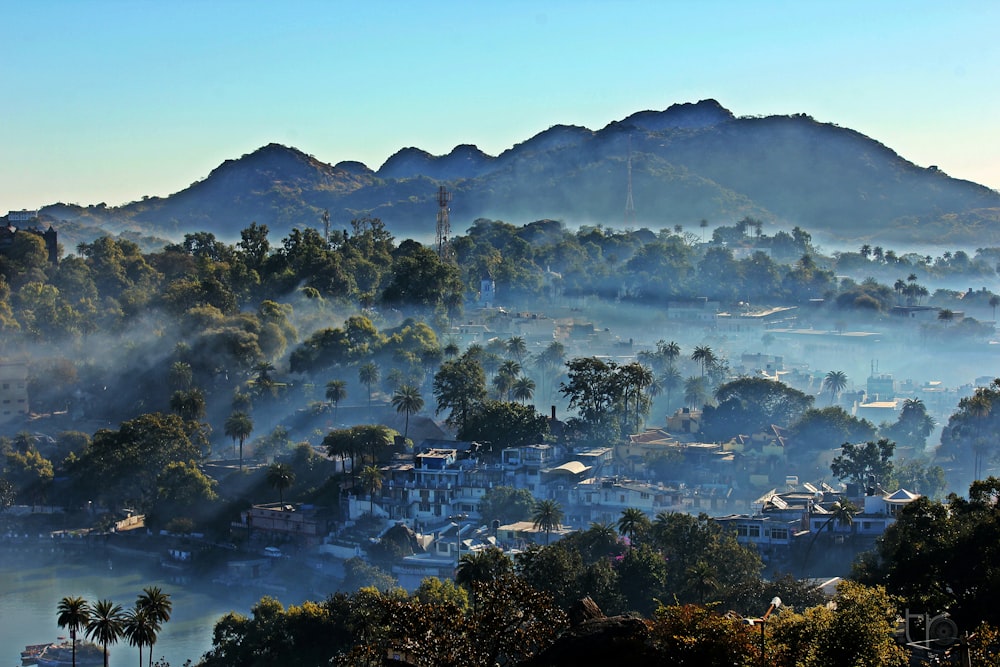 bird's-eye view photography of mountains and forest