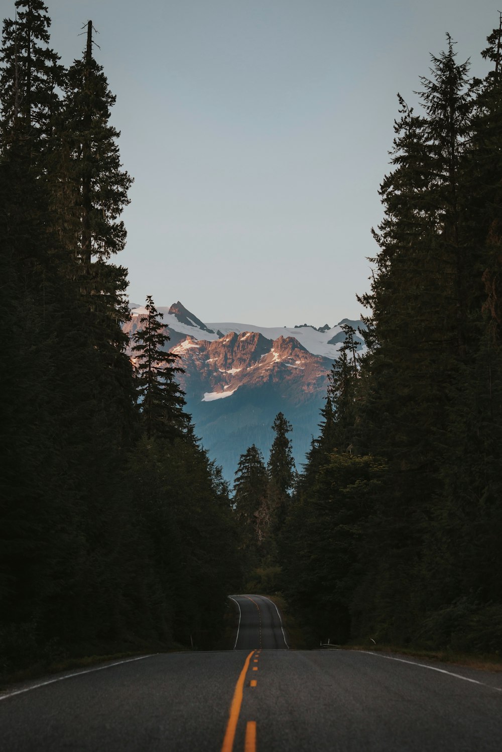 山、木、道路の風景写真