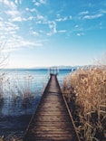 photo of brown wooden boardwalk nearby sea