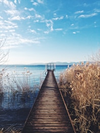 photo of brown wooden boardwalk nearby sea