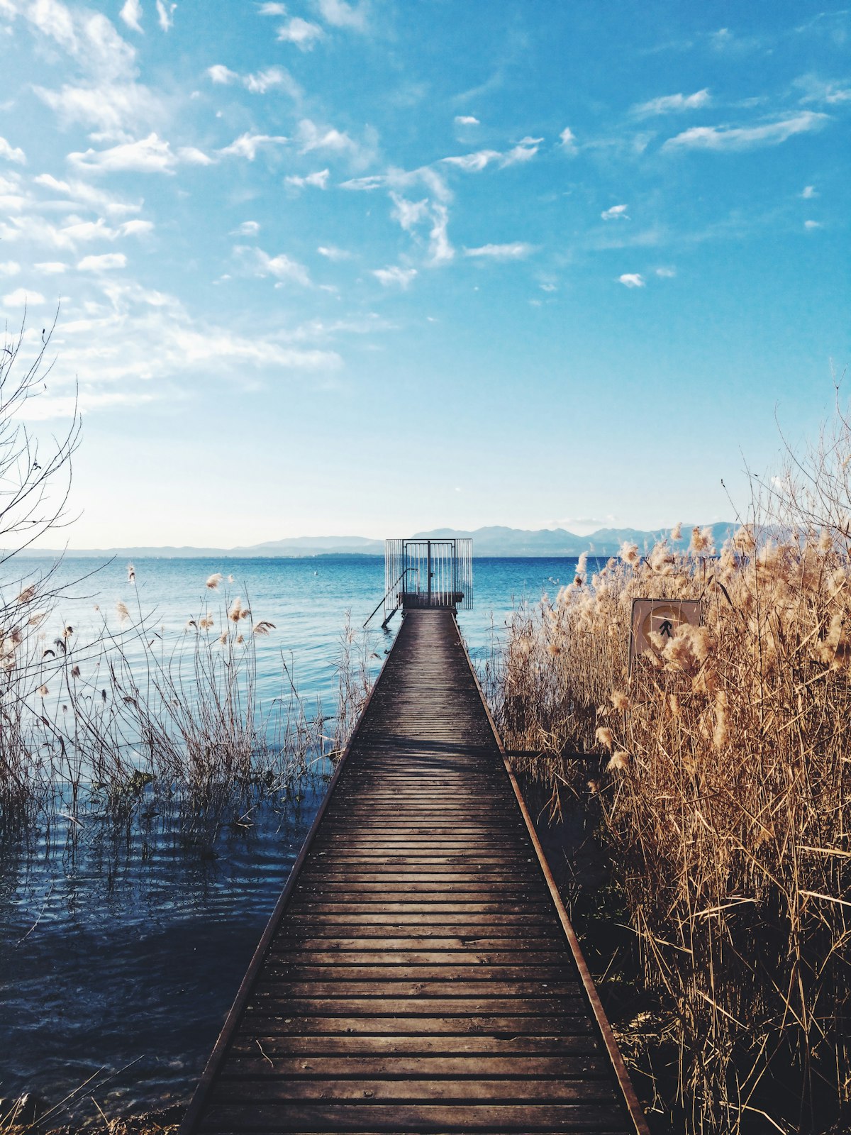 Spring-fed river winding through forested Ozark hills