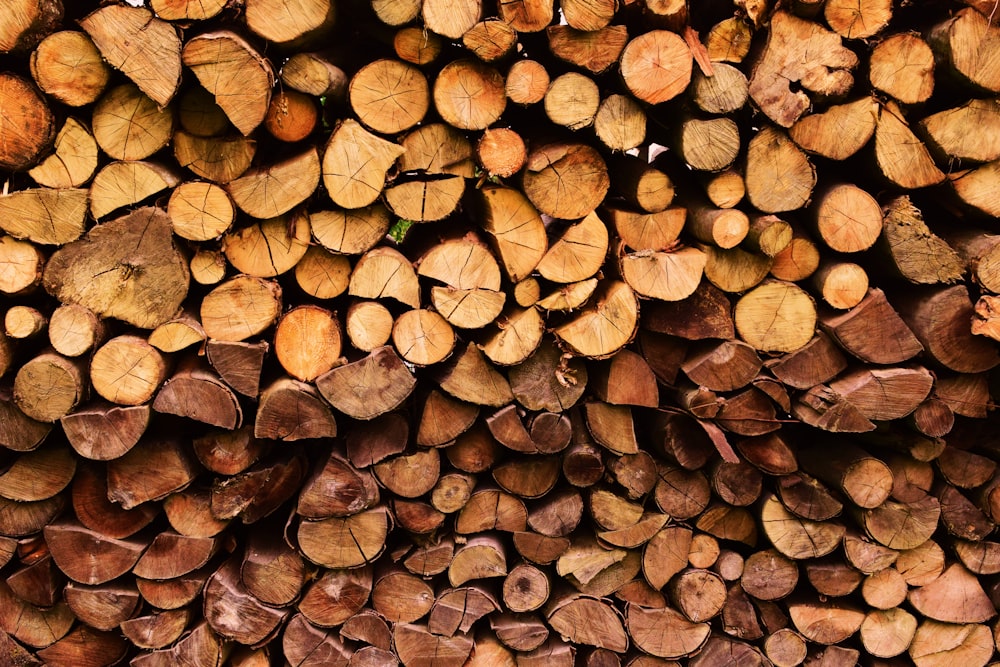 stack of firewood at daytime