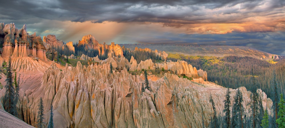 Fotografía de gran angular de árboles cerca de la montaña