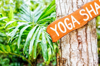 brown and white yoga hanging signboard
