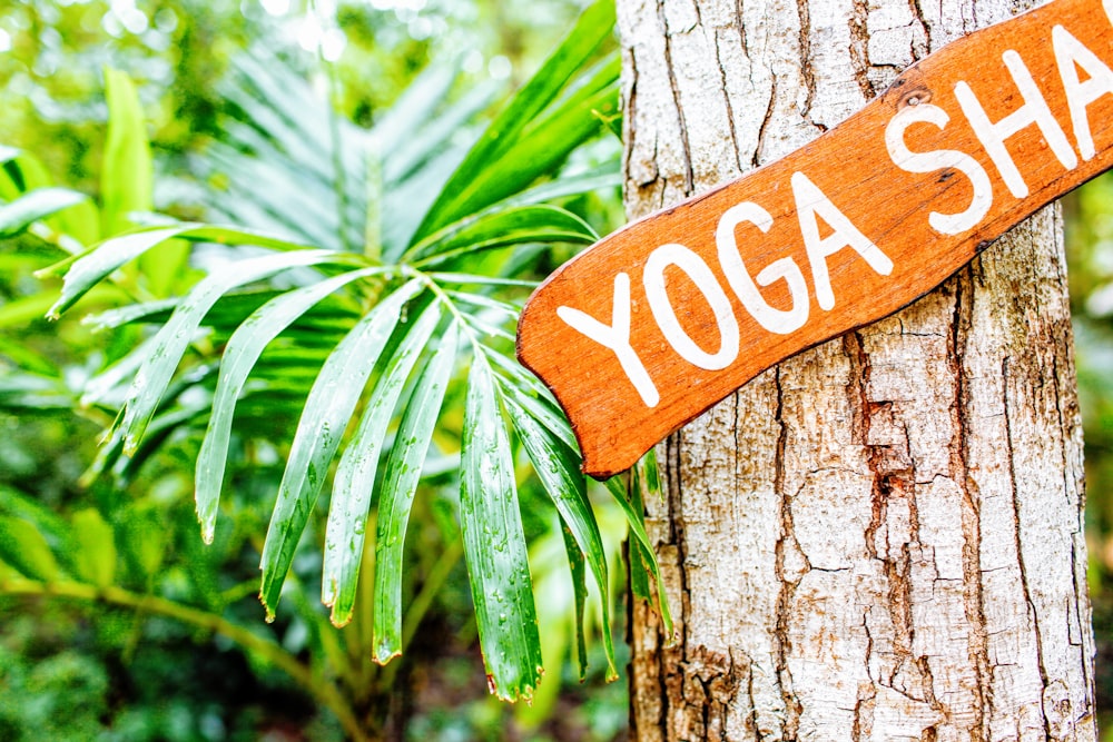 brown and white yoga hanging signboard