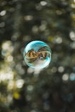 selective focus photography of bubble