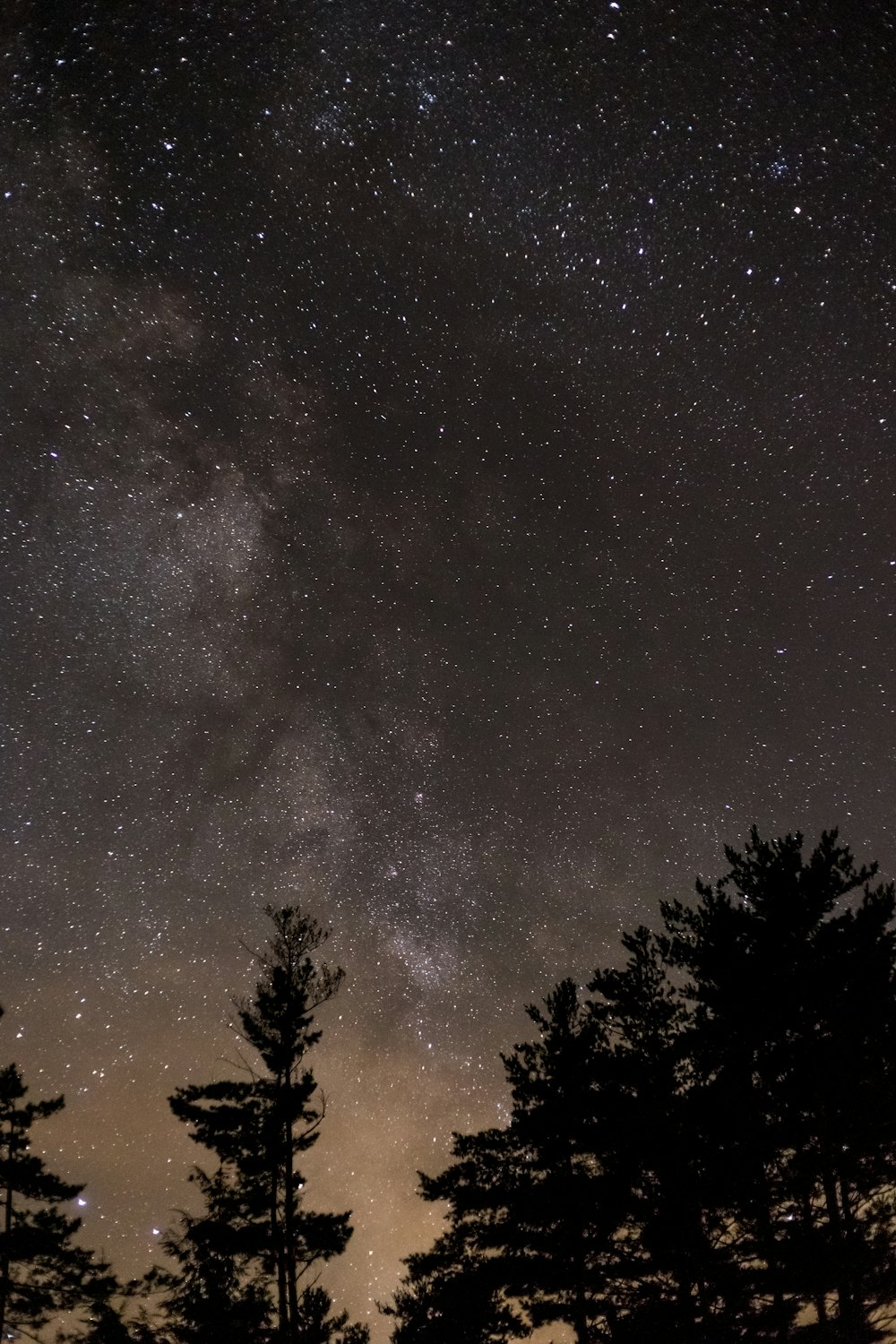 low angle photo of stargazing phenomenon