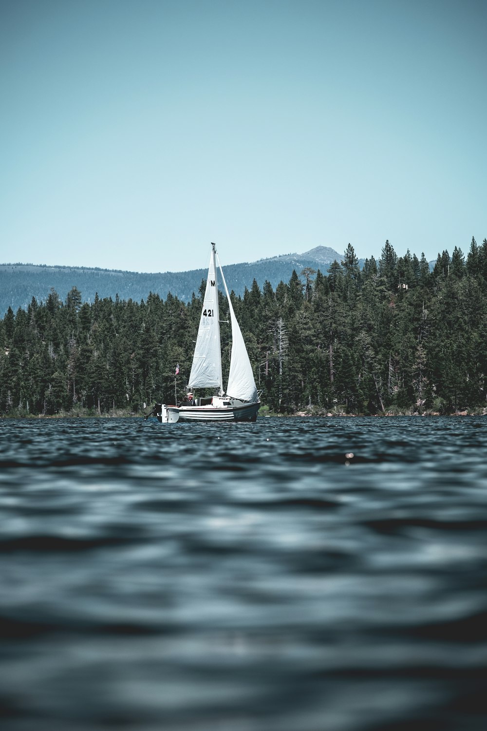 Barca a vela bianca e nera sullo specchio d'acqua vicino agli alti alberi verdi e alla montagna sotto il cielo blu durante il giorno